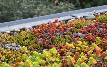 the cost of Crockerton green roof installation
