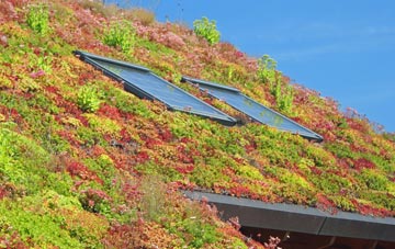 Crockerton living roof systems