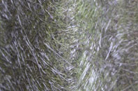 Crockerton fibreglass roof work